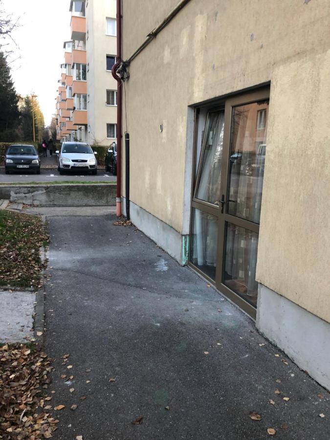 Ferienwohnung Gaby 2 Brașov Exterior foto